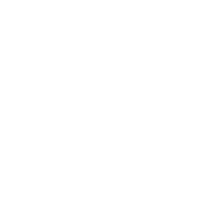 Dragonroll Logo